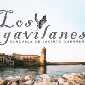 Los gavilánes
